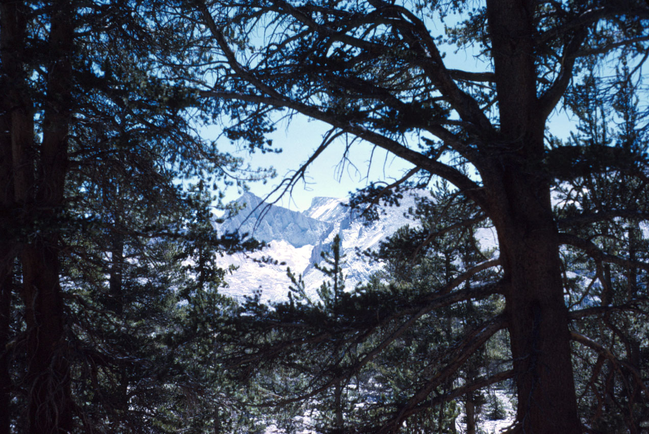 s70_102.jpg (169064 bytes)