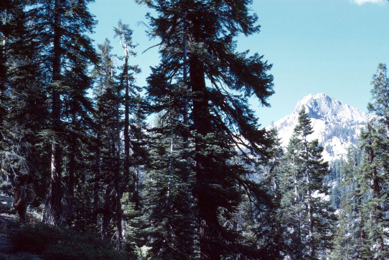 s70_11.jpg (169686 bytes)