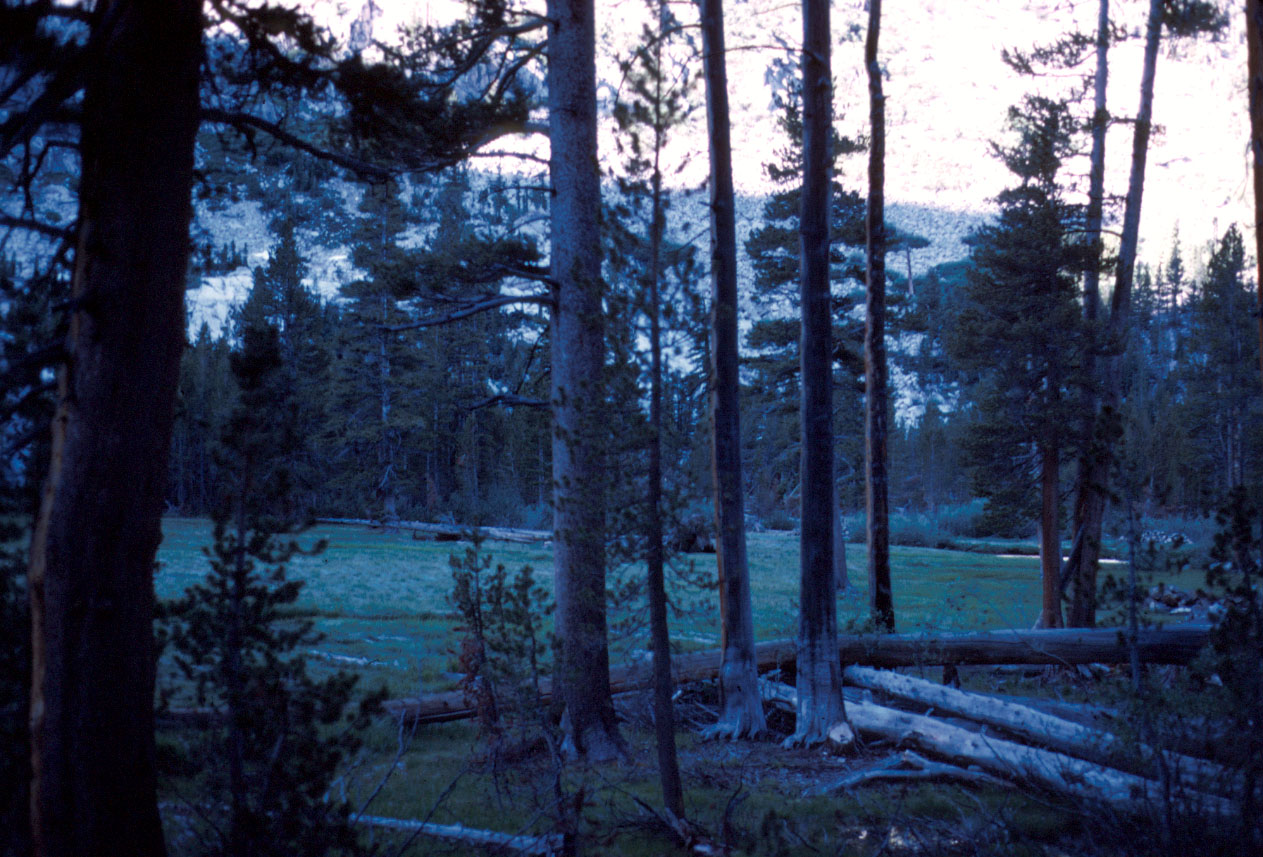 s70_125.jpg (132679 bytes)