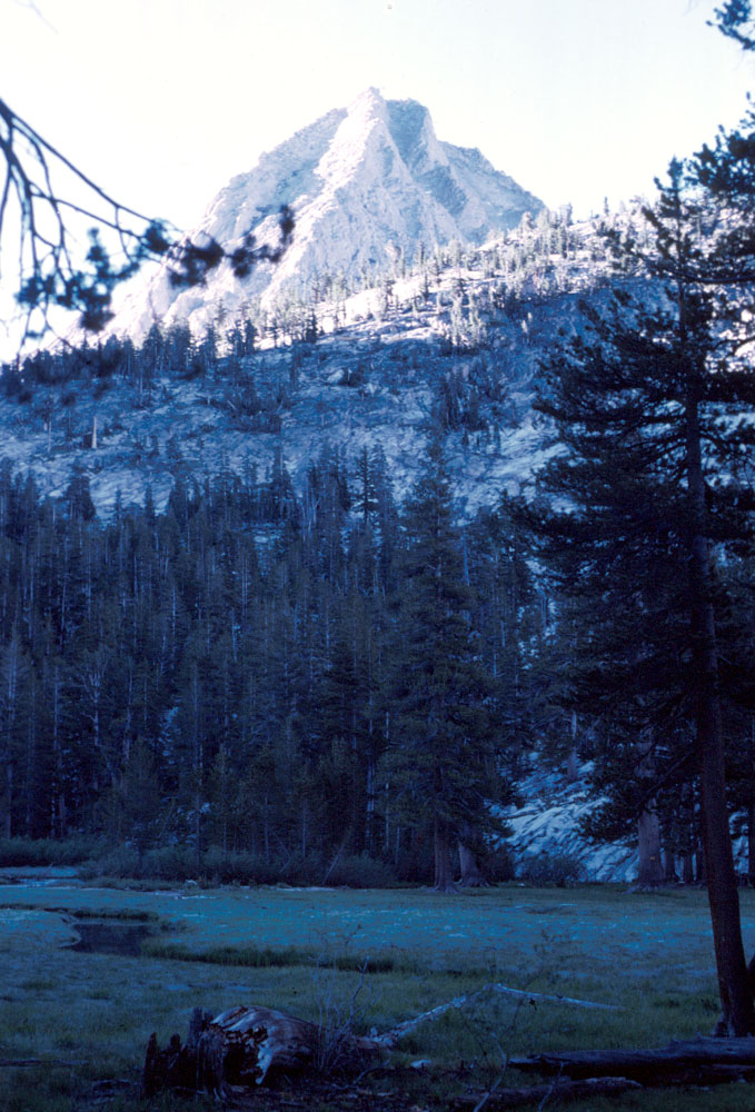 s70_126.jpg (79924 bytes)