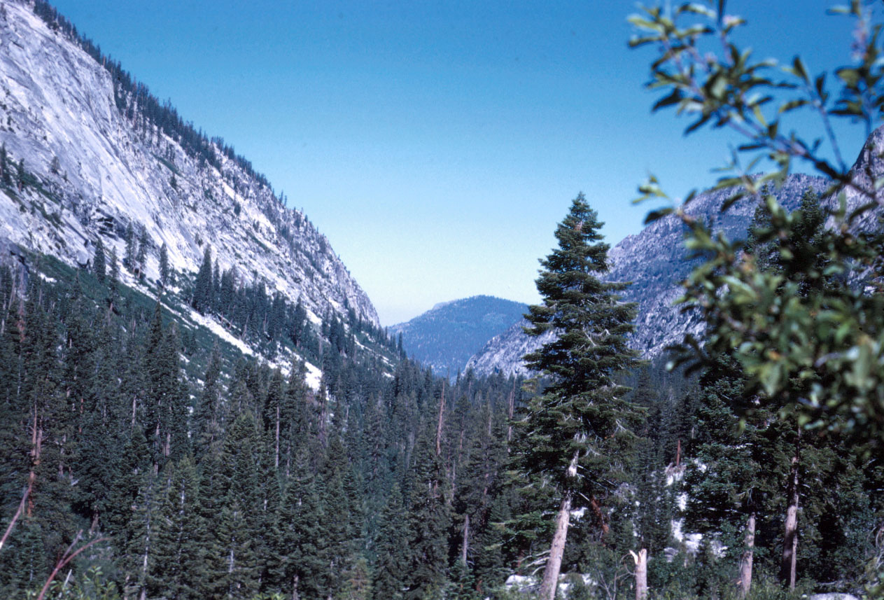 s70_131.jpg (142693 bytes)