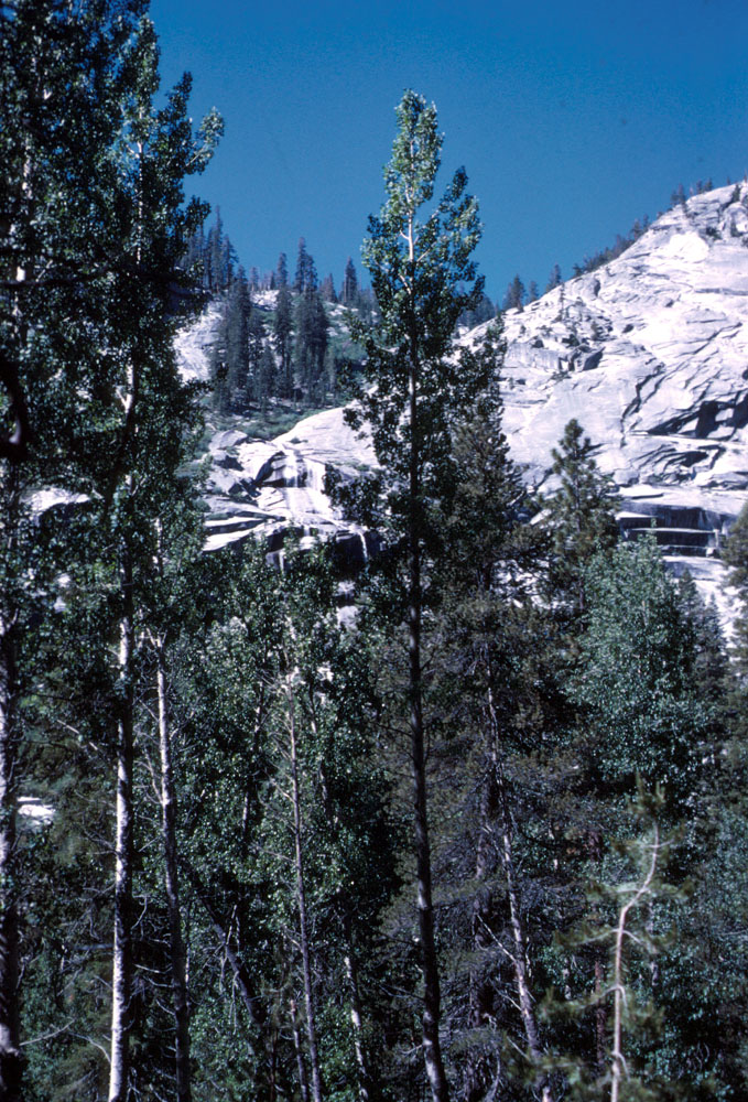 s70_134.jpg (111396 bytes)