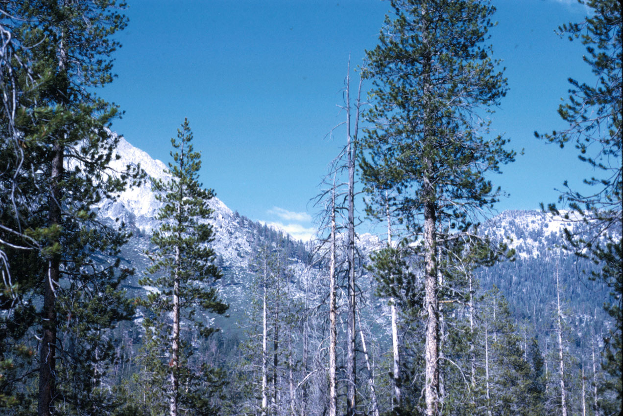 s70_15.jpg 