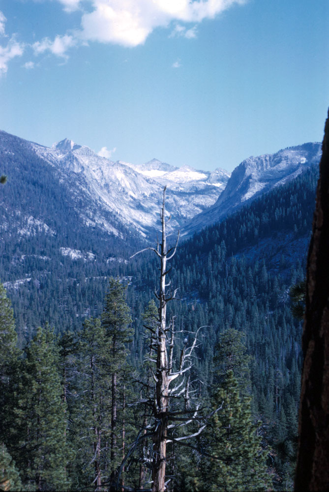 s70_17.jpg 