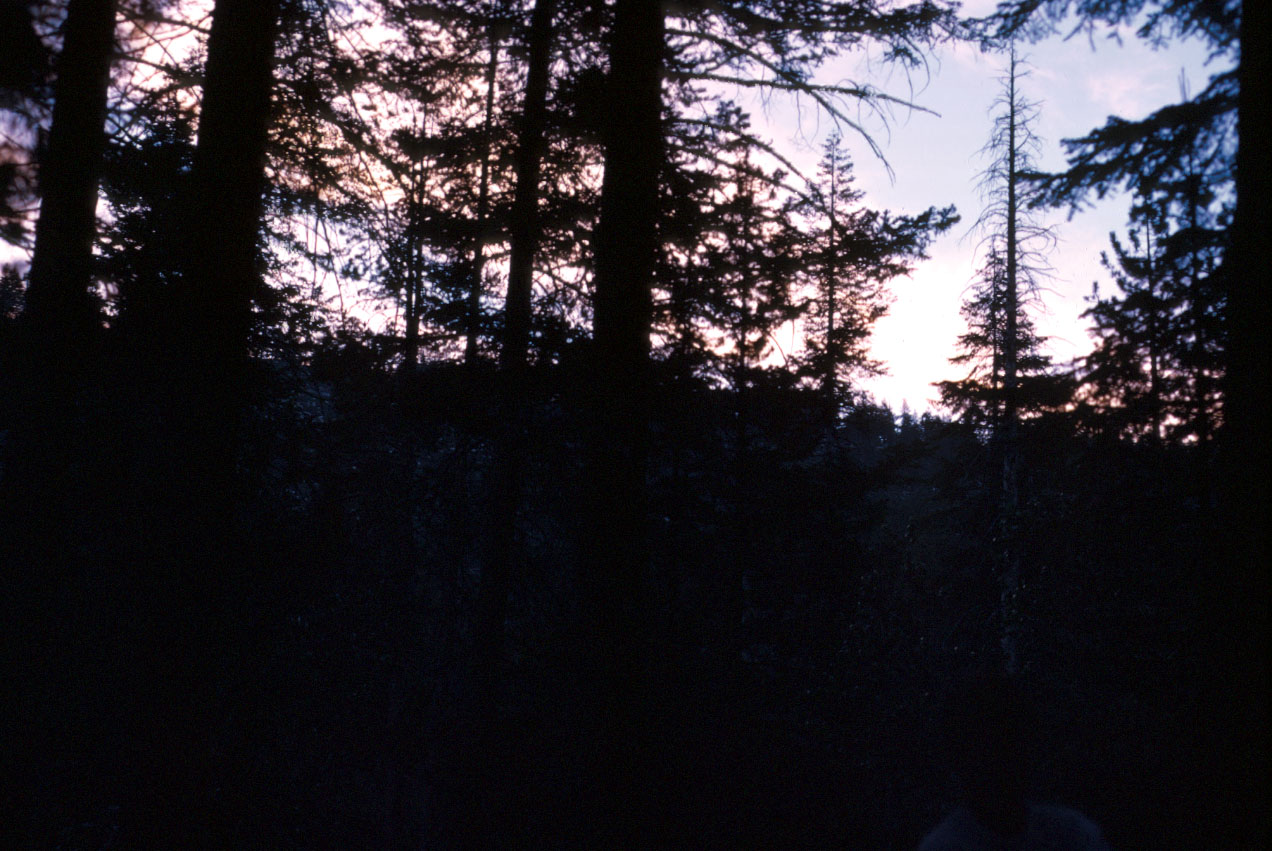 s70_19.jpg 