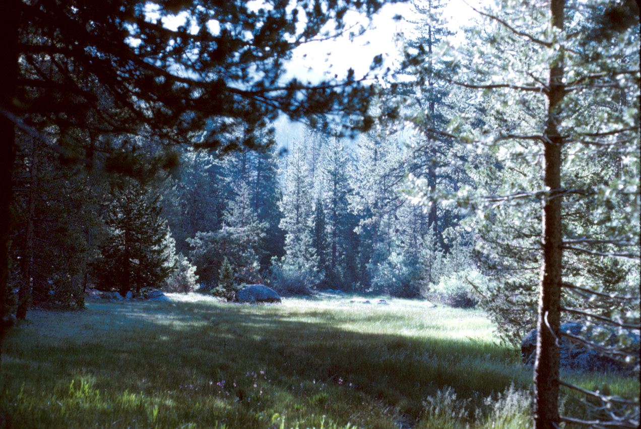 s70_21.jpg