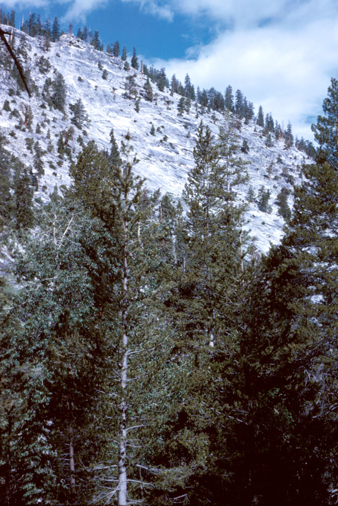 s70_22.jpg
