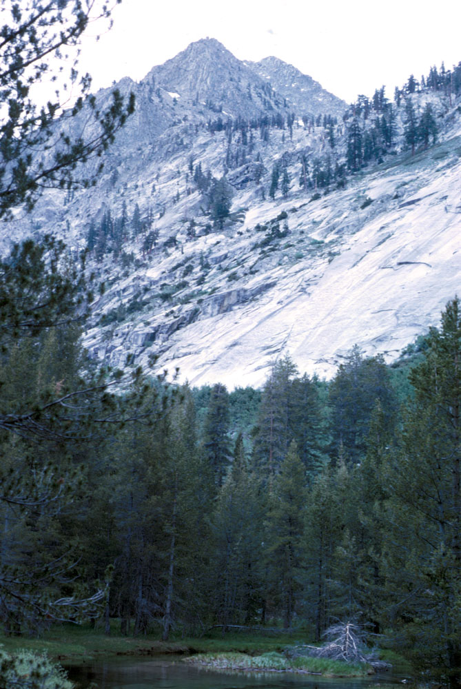 s70_25.jpg (84473 bytes)
