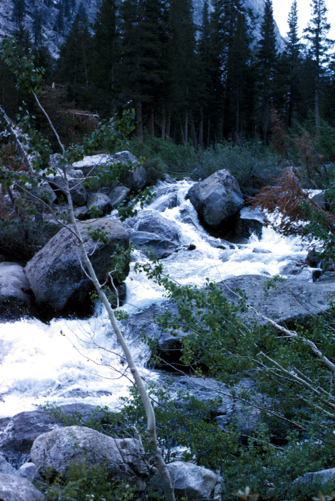 s70_29.jpg (99346 bytes)