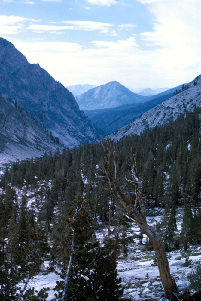 s70_34.jpg (72671 bytes)
