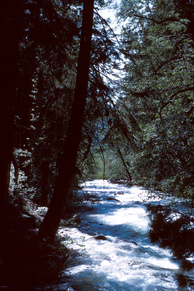 s70_3.jpg 