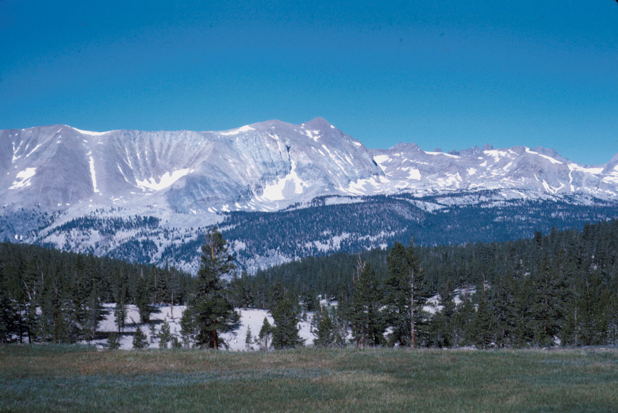 s70_99.jpg (105520 bytes)