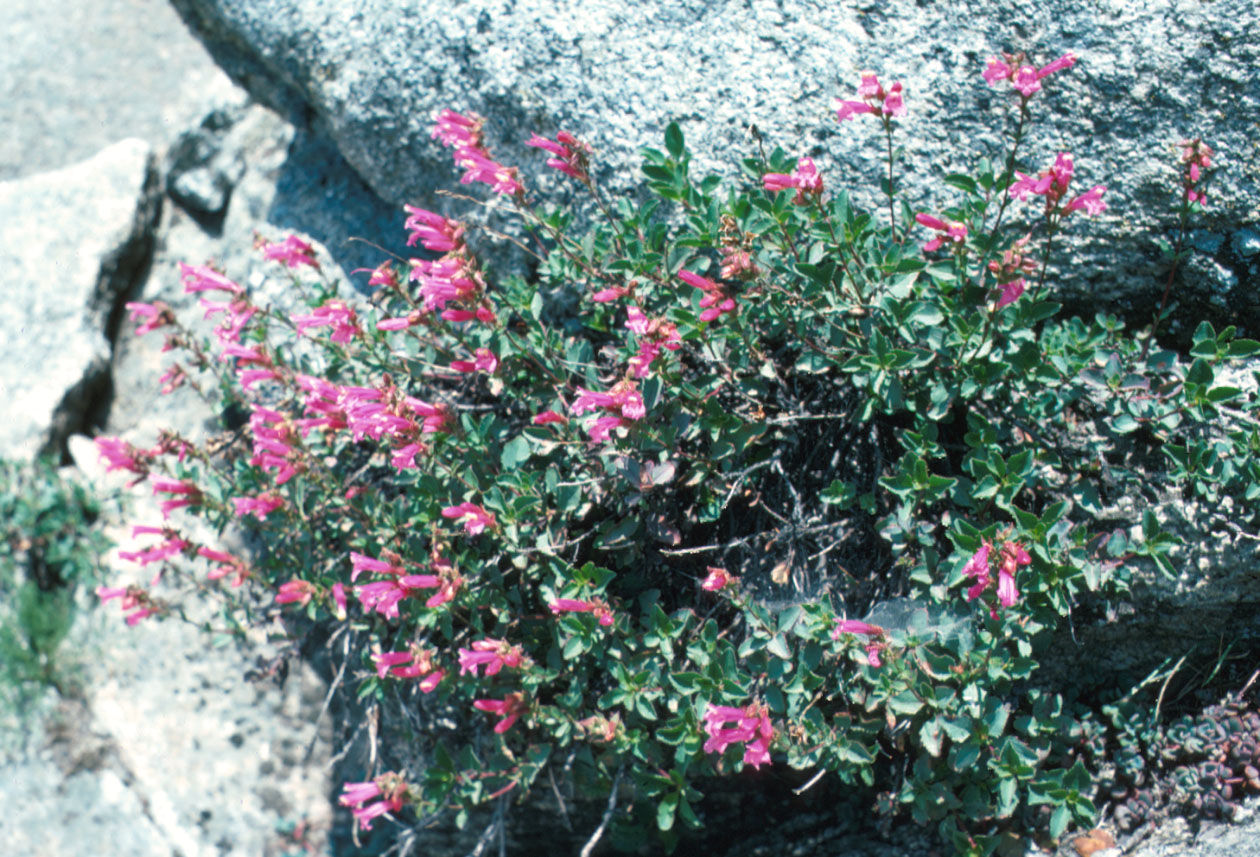 s70_3.jpg 