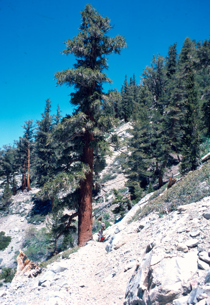 s70_56.jpg (151683 bytes)
