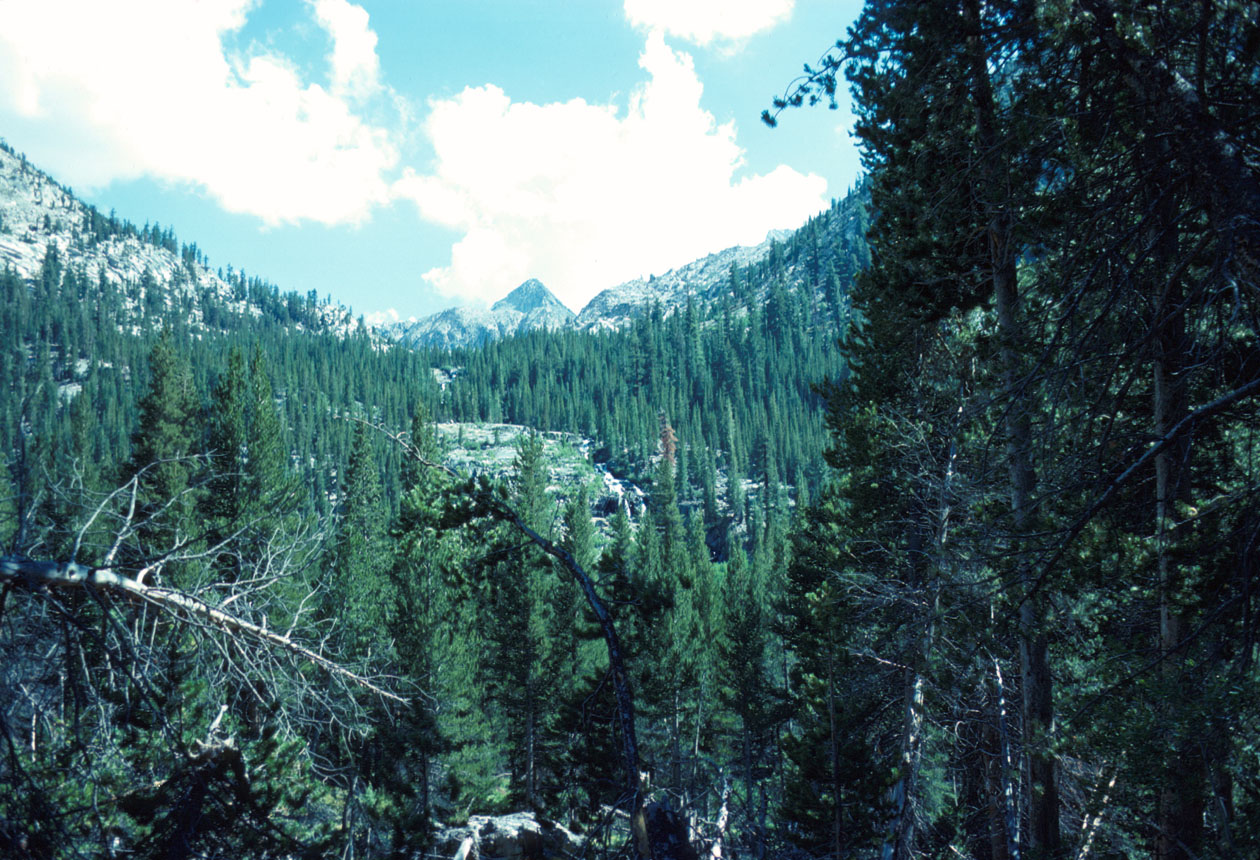s70_94.jpg (152192 bytes)