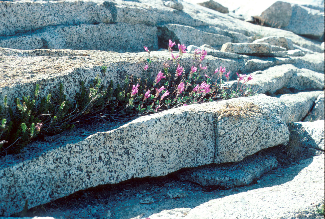 s70_13.jpg 