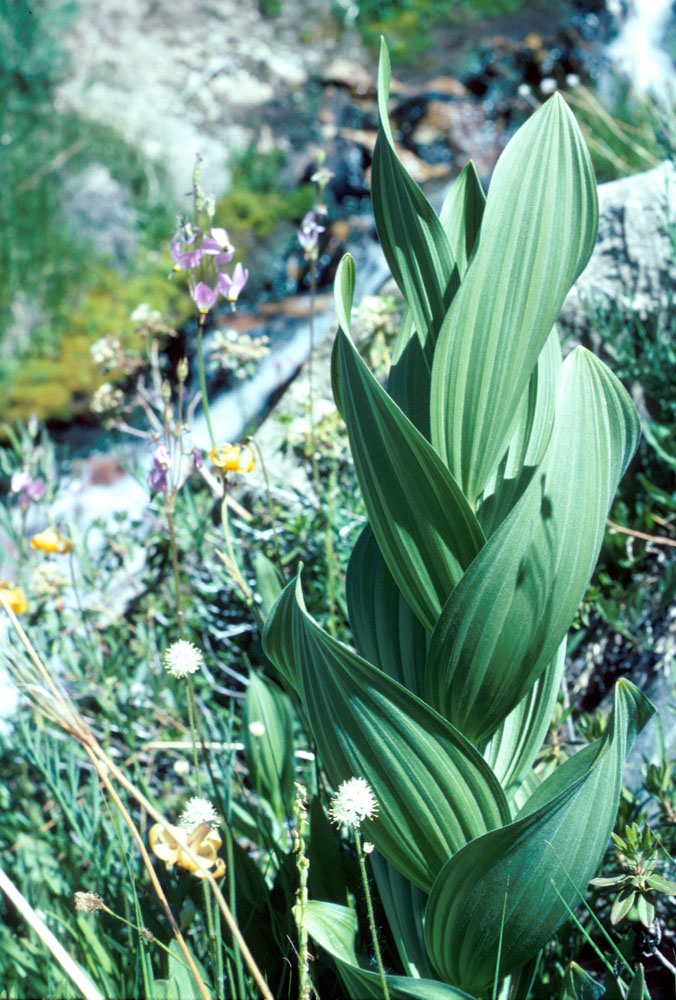 s70_14.jpg 