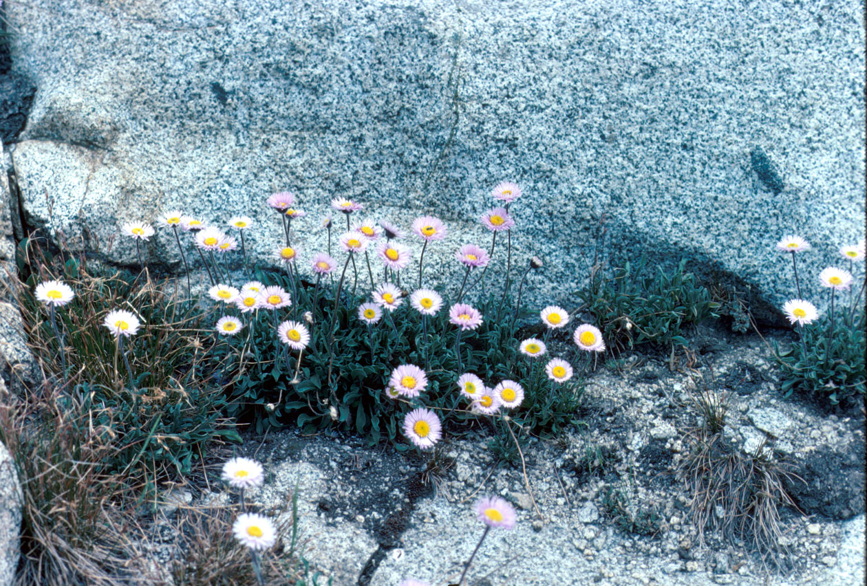 s70_19.jpg 