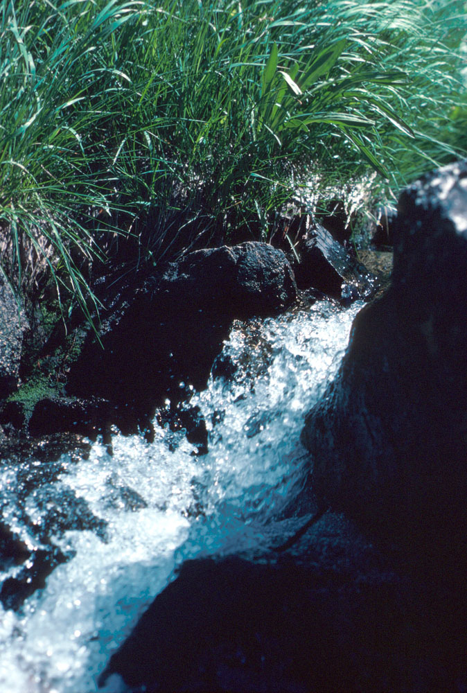 s70_31.jpg (79119 bytes)