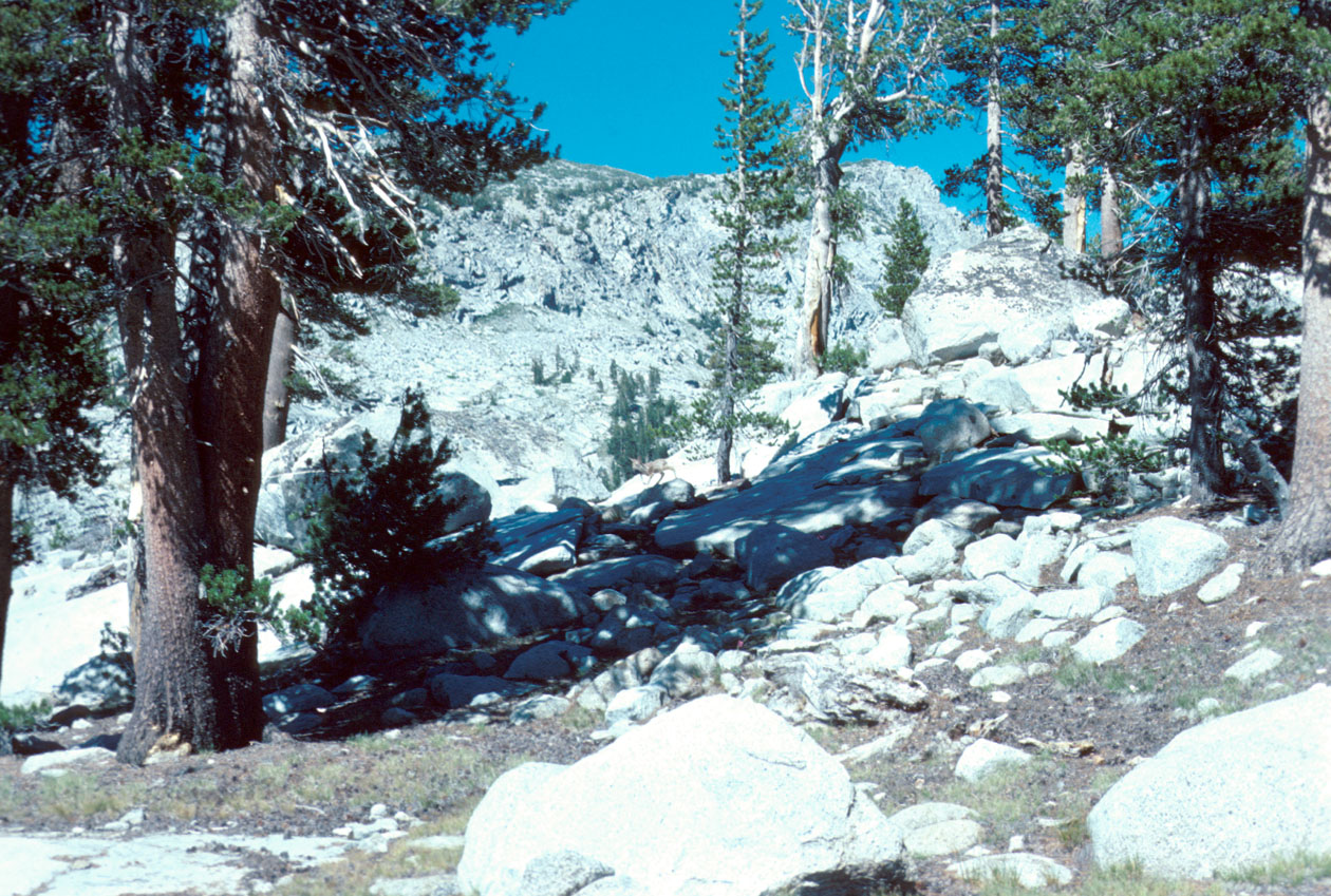 s70_33.jpg (81717 bytes)