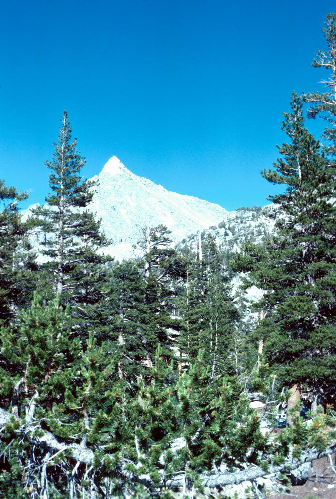 s70_34.jpg (72671 bytes)