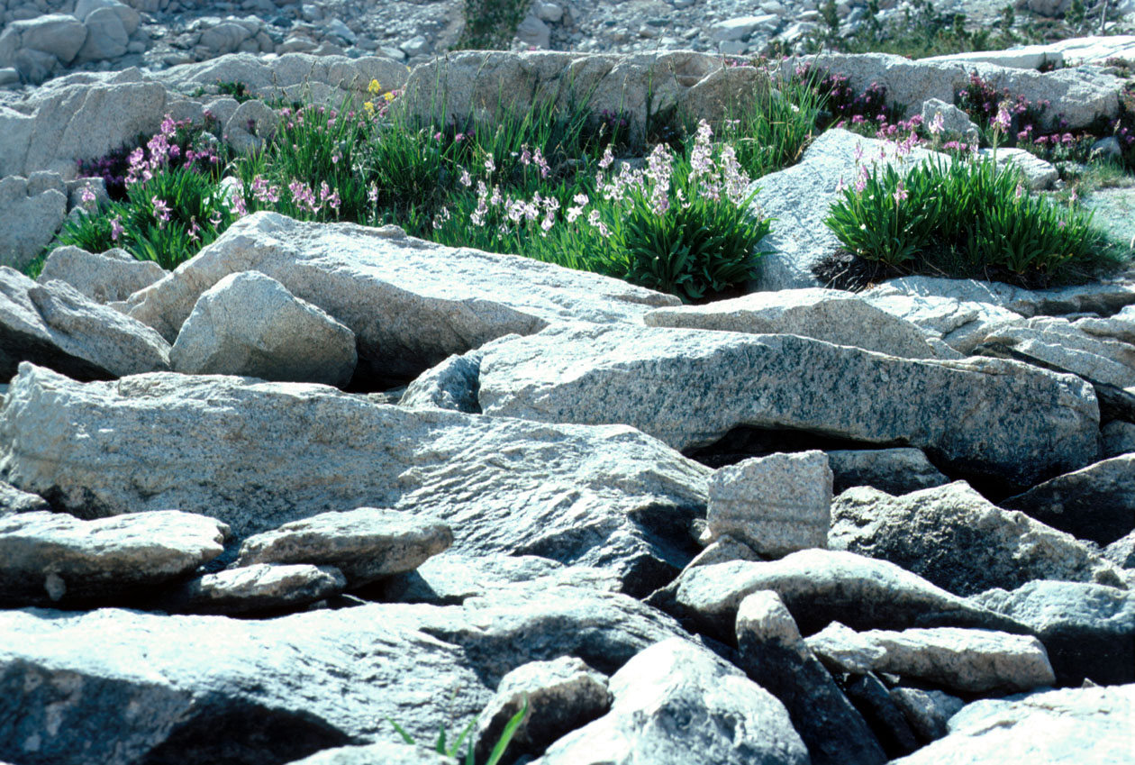 s70_43.jpg (107117 bytes)