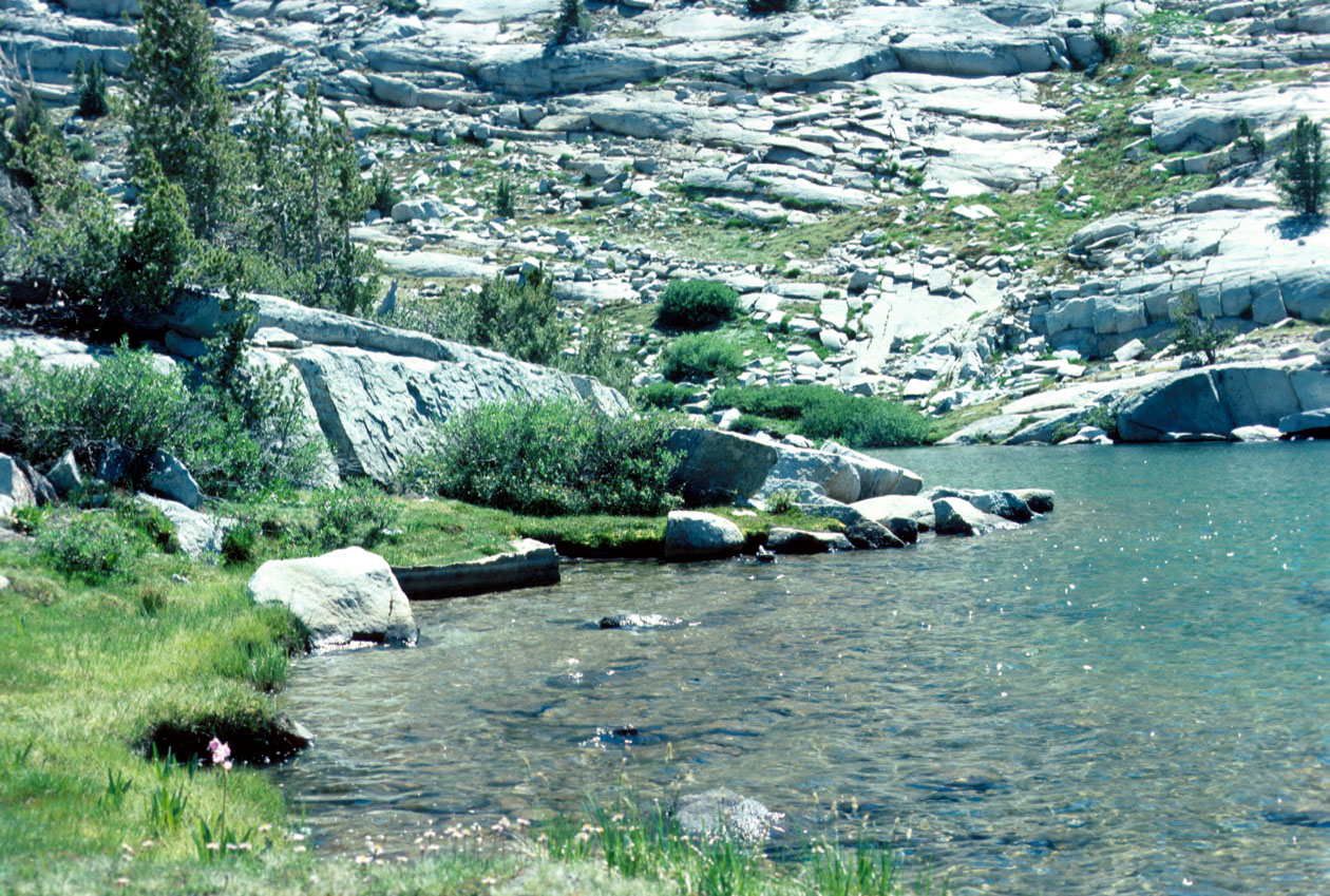 s70_45.jpg (96441 bytes)