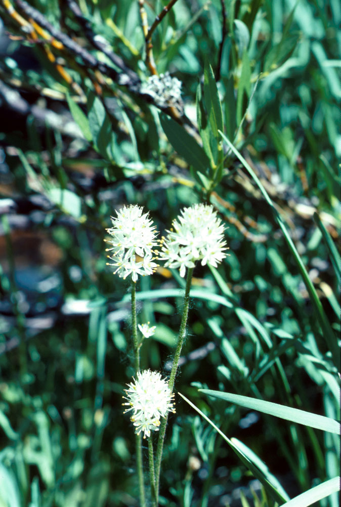 s70_47.jpg (101084 bytes)