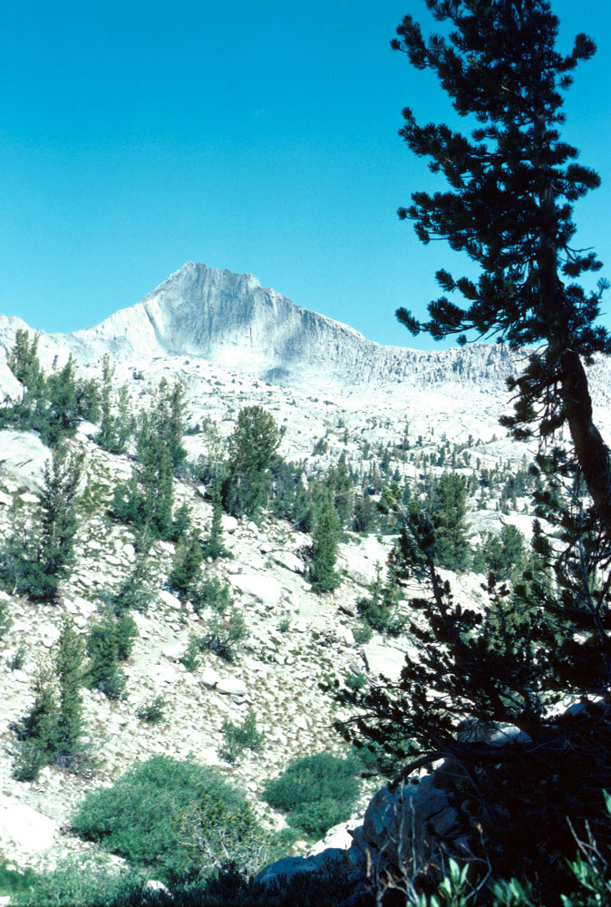 s70_58.jpg (124365 bytes)