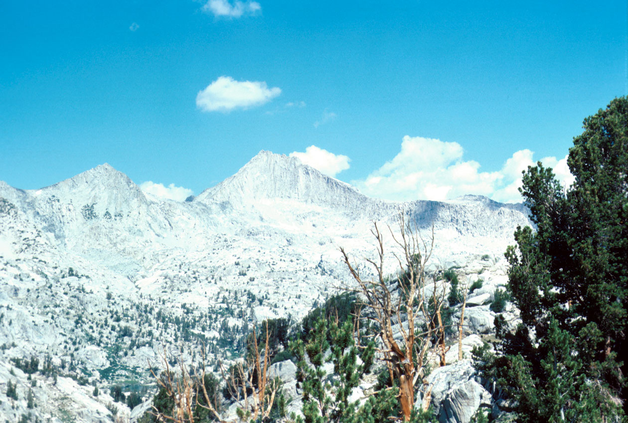 s70_61.jpg (53019 bytes)