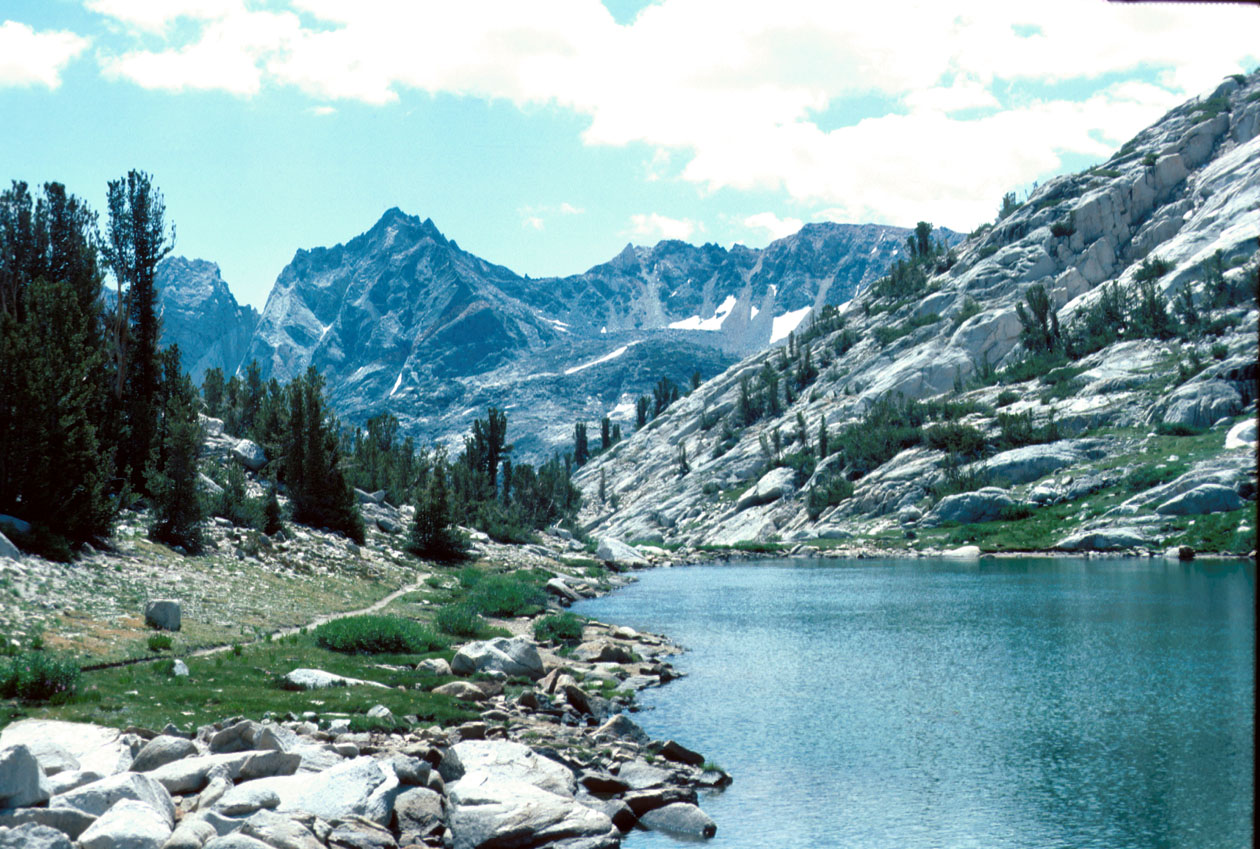 s70_65.jpg (69642 bytes)