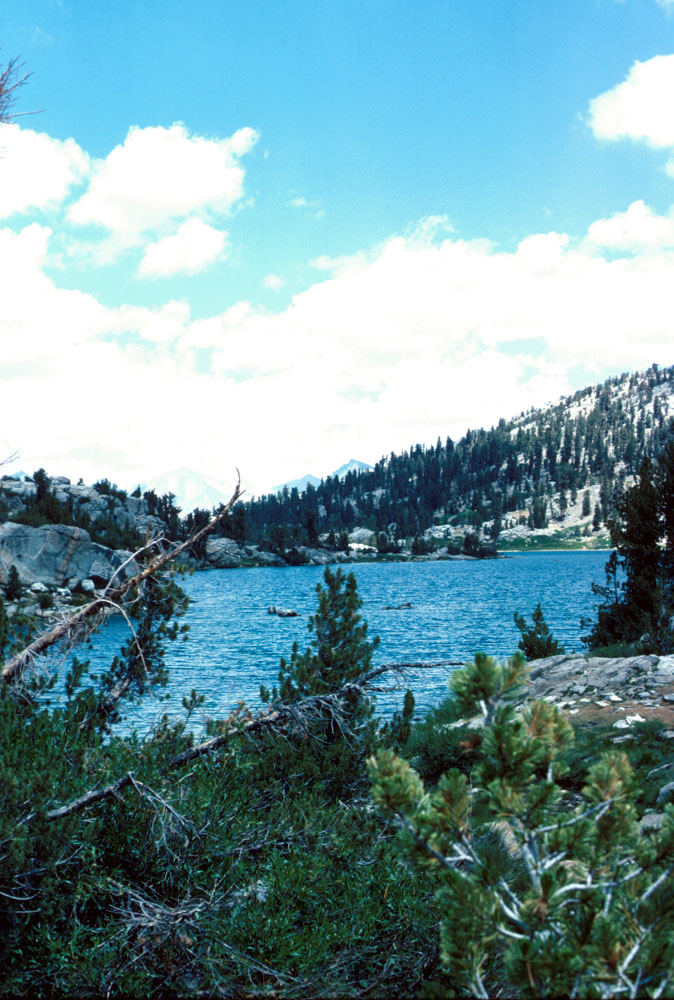 s70_67.jpg (97706 bytes)