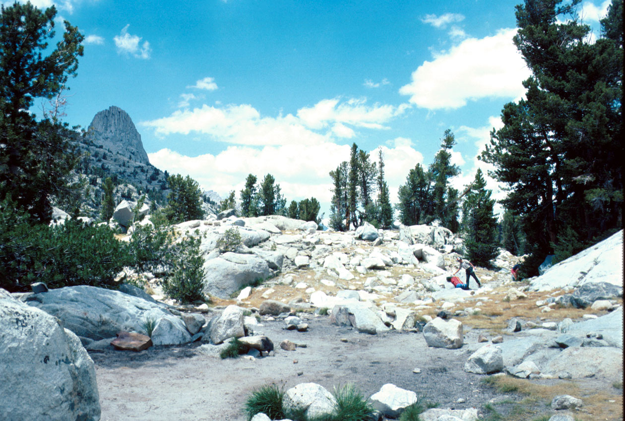 s70_71.jpg (72469 bytes)