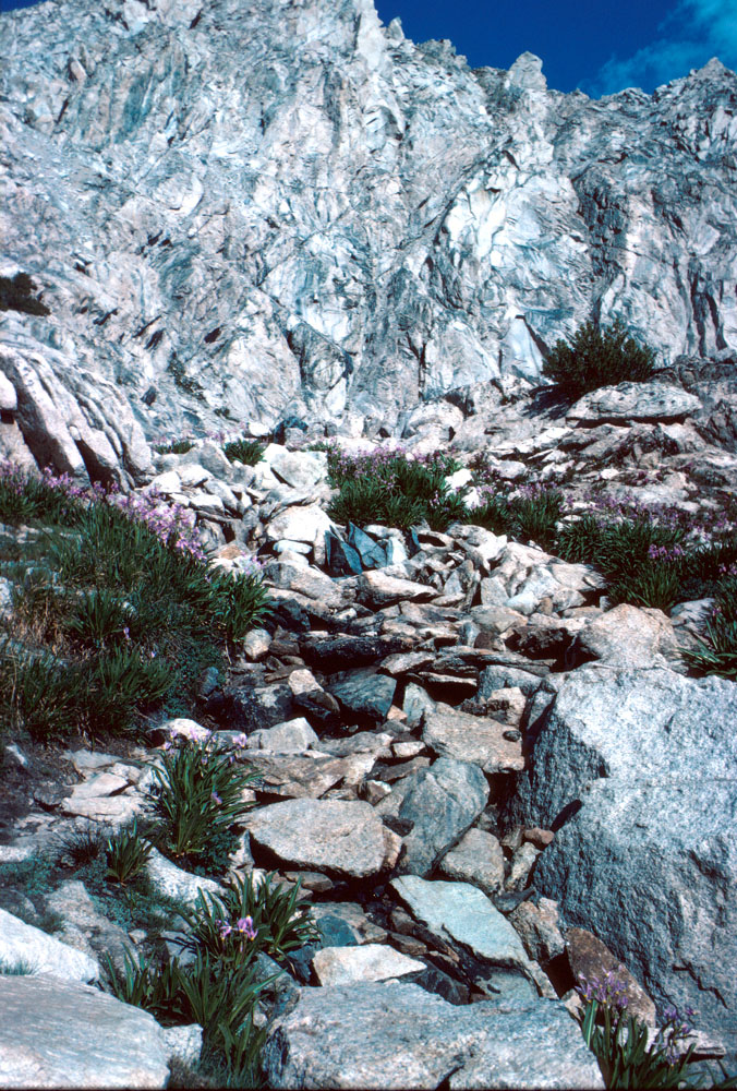 s70_79.jpg (117759 bytes)