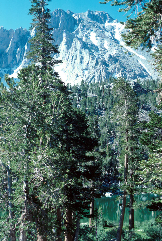s70_88.jpg (108951 bytes)