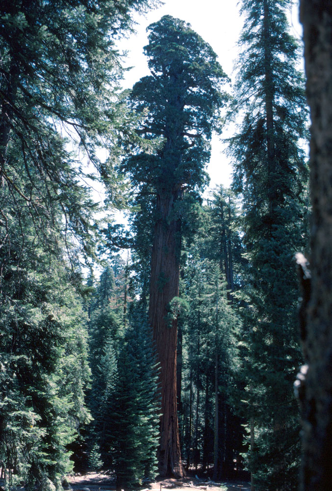 s70_71.jpg (72469 bytes)