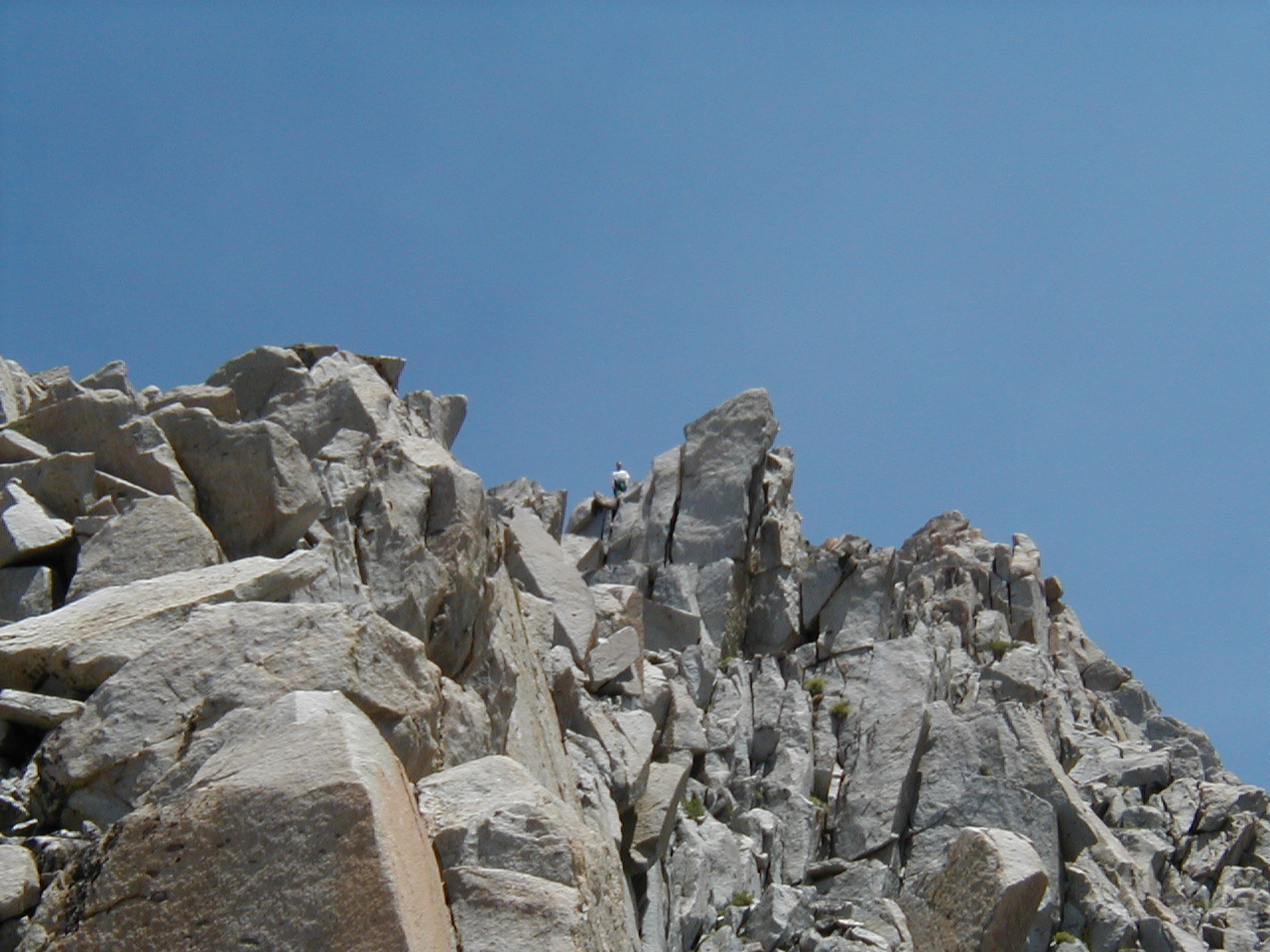 s70_16.jpg (130704 bytes)