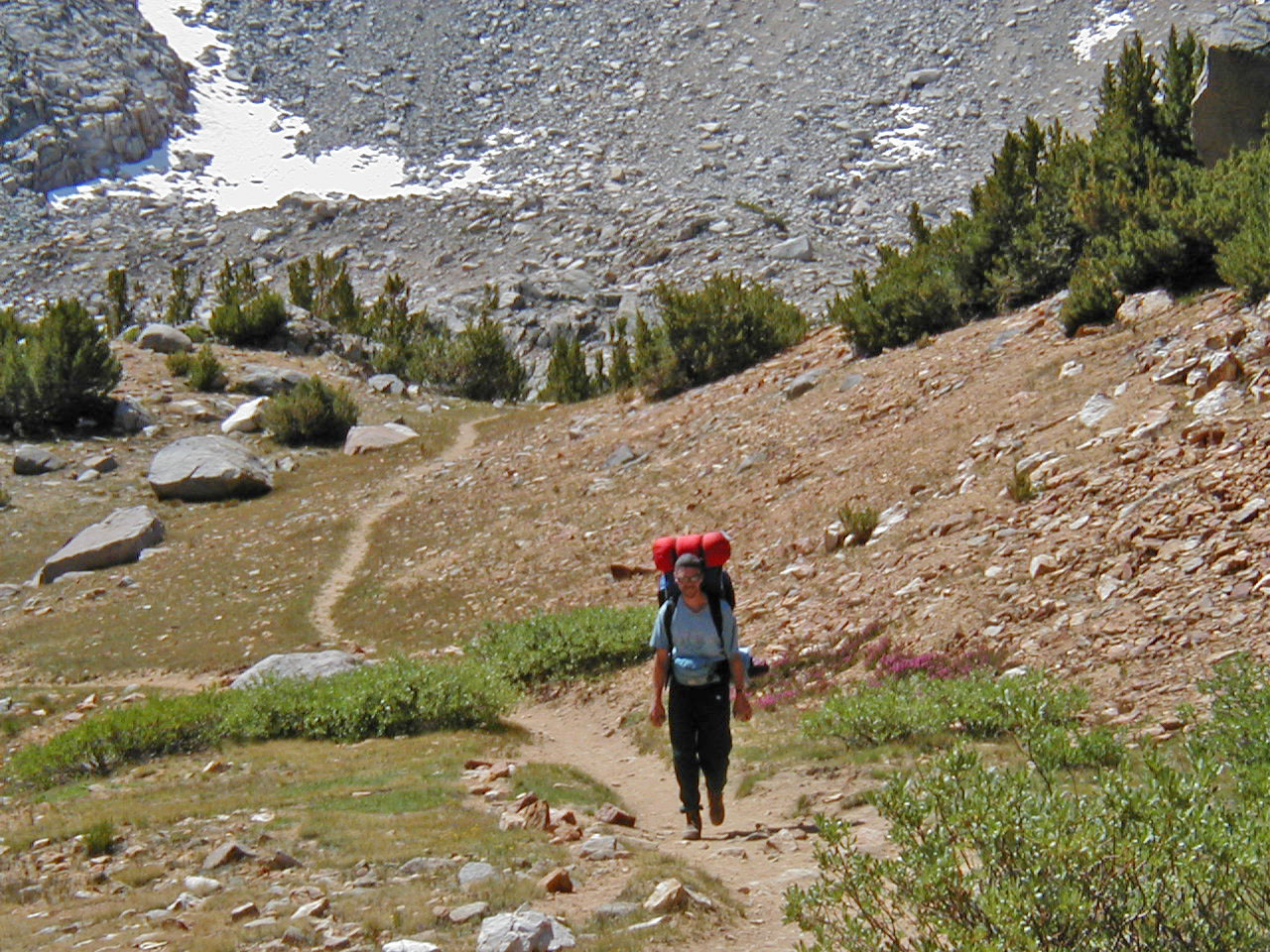 s70_37.jpg (86920 bytes)