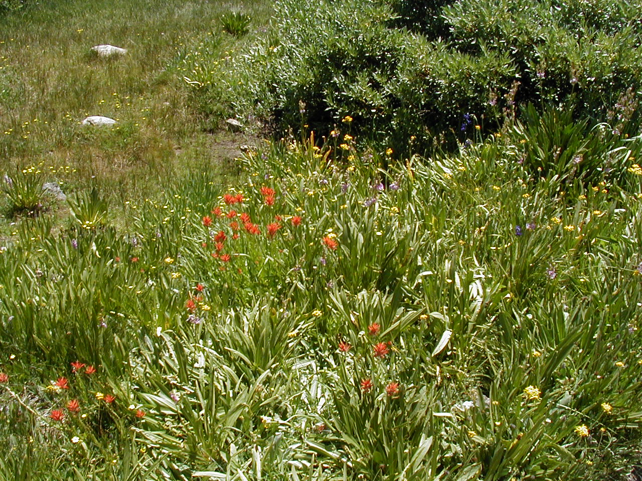 s70_47.jpg (101084 bytes)