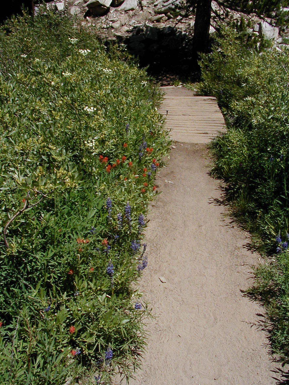 s70_49.jpg (68053 bytes)